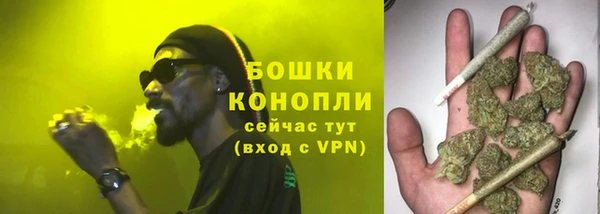 крисы Богородск