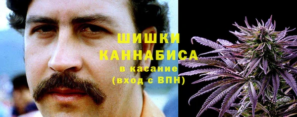 крисы Богородск