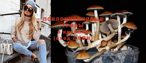 кокаин премиум Богородицк